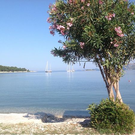 Apartment Biserka Cavtat Rum bild
