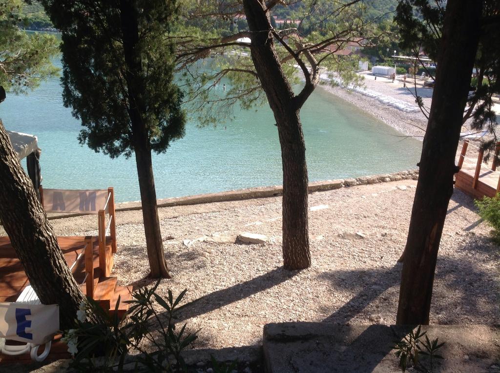 Apartment Biserka Cavtat Rum bild