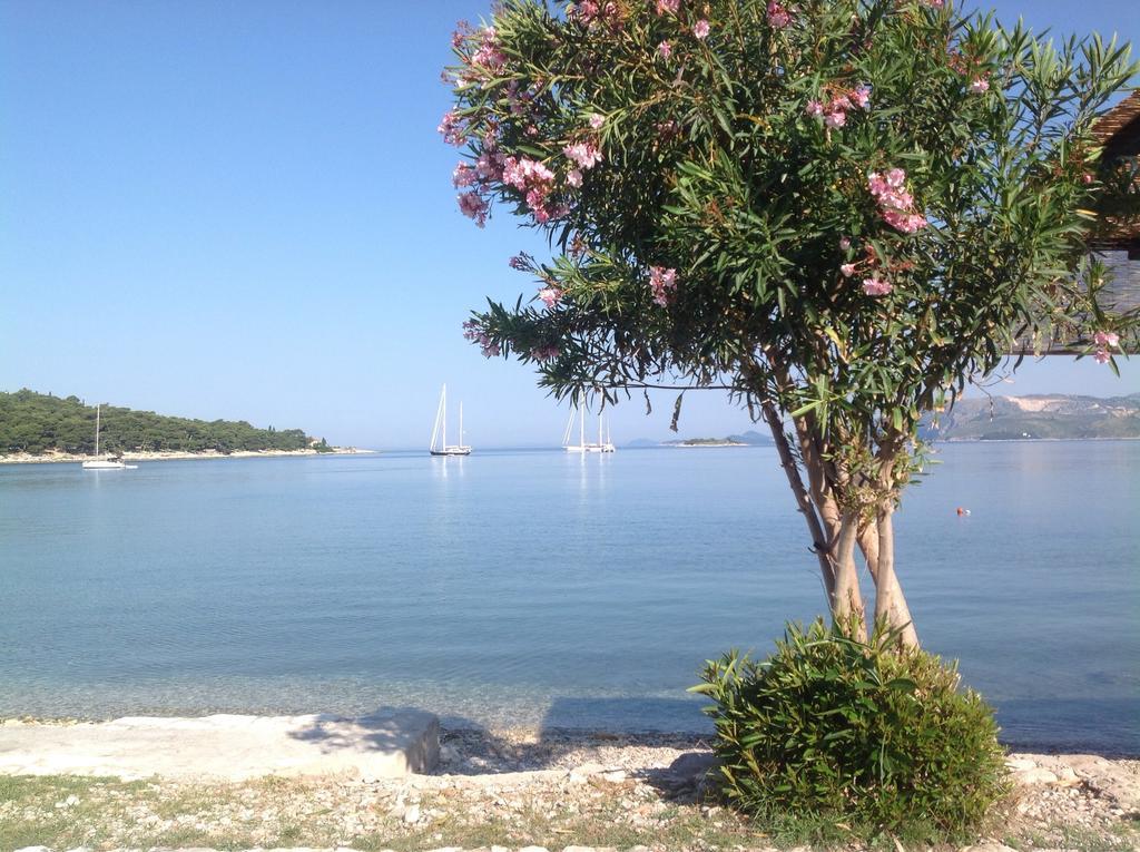 Apartment Biserka Cavtat Rum bild